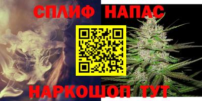 СК Кимры