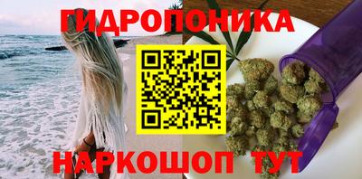 ГАЛЛЮЦИНОГЕННЫЕ ГРИБЫ Кандалакша
